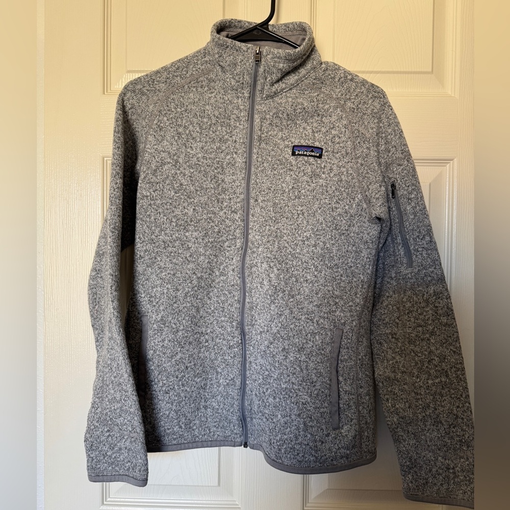 Patagonia Light Gray Fleece Jacket